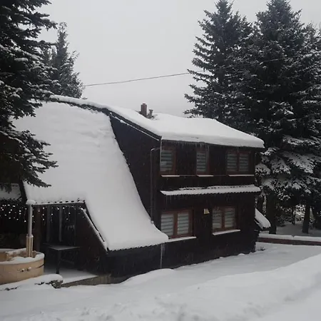 Oliwne Wzgorza Lodge *