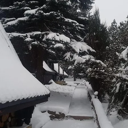 Lodge Oliwne Wzgorza