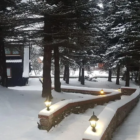 Orman Evi Oliwne Wzgorza Stronie Śląskie