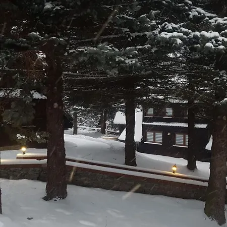 Oliwne Wzgorza Orman Evi