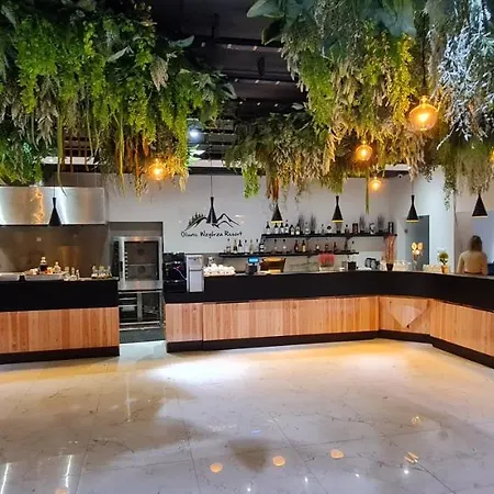 Oliwne Wzgorza Orman Evi