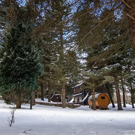 Oliwne Wzgorza Stronie Śląskie