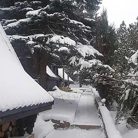 Lodge Oliwne Wzgórza