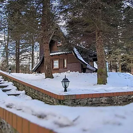 Oliwne Wzgórza Lodge Stronie Śląskie