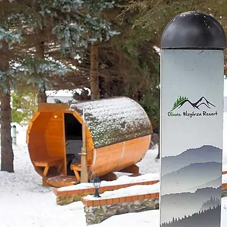 Oliwne Wzgórza Lodge Stronie Śląskie