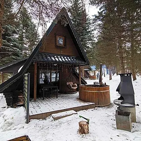 Oliwne Wzgórza Lodge *