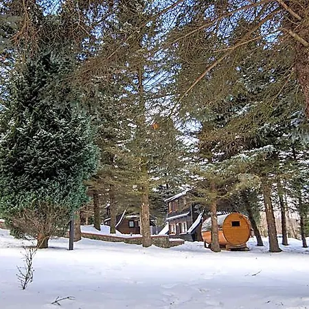 Oliwne Wzgórza Lodge *