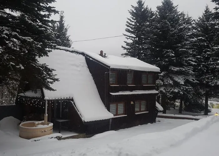 Oliwne Wzgorza Lodge *