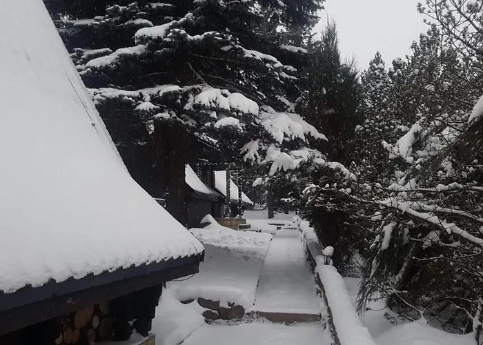 Lodge Oliwne Wzgorza