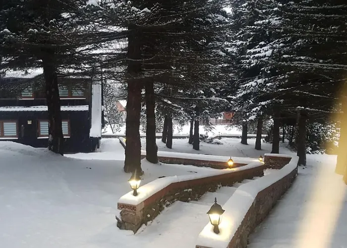 Lodge Oliwne Wzgorza Stronie Slaskie