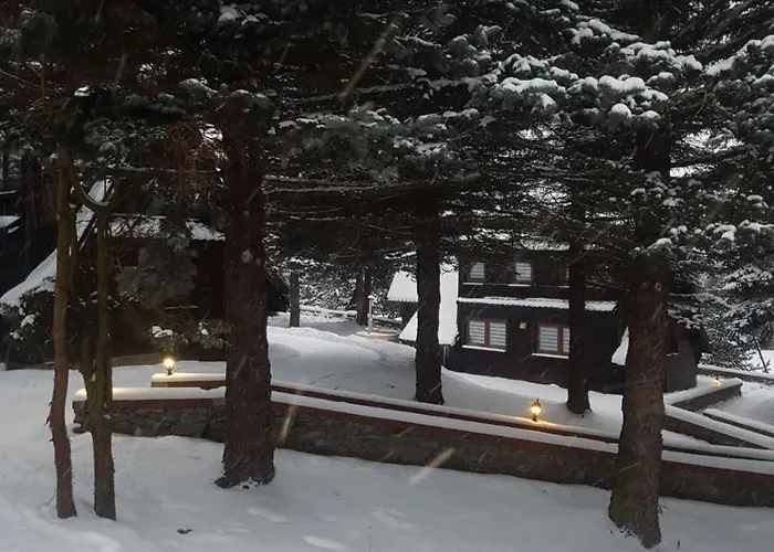 Oliwne Wzgorza Lodge