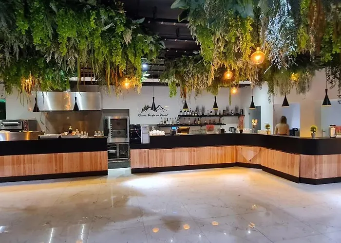 Oliwne Wzgorza Lodge