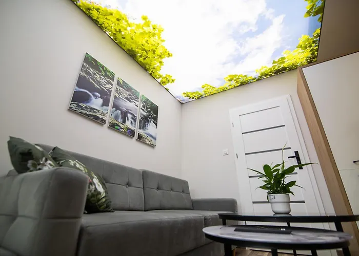 بيت خشبي Oliwne Wzgorza Stronie Śląskie