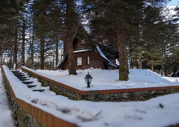 Oliwne Wzgorza Lodge